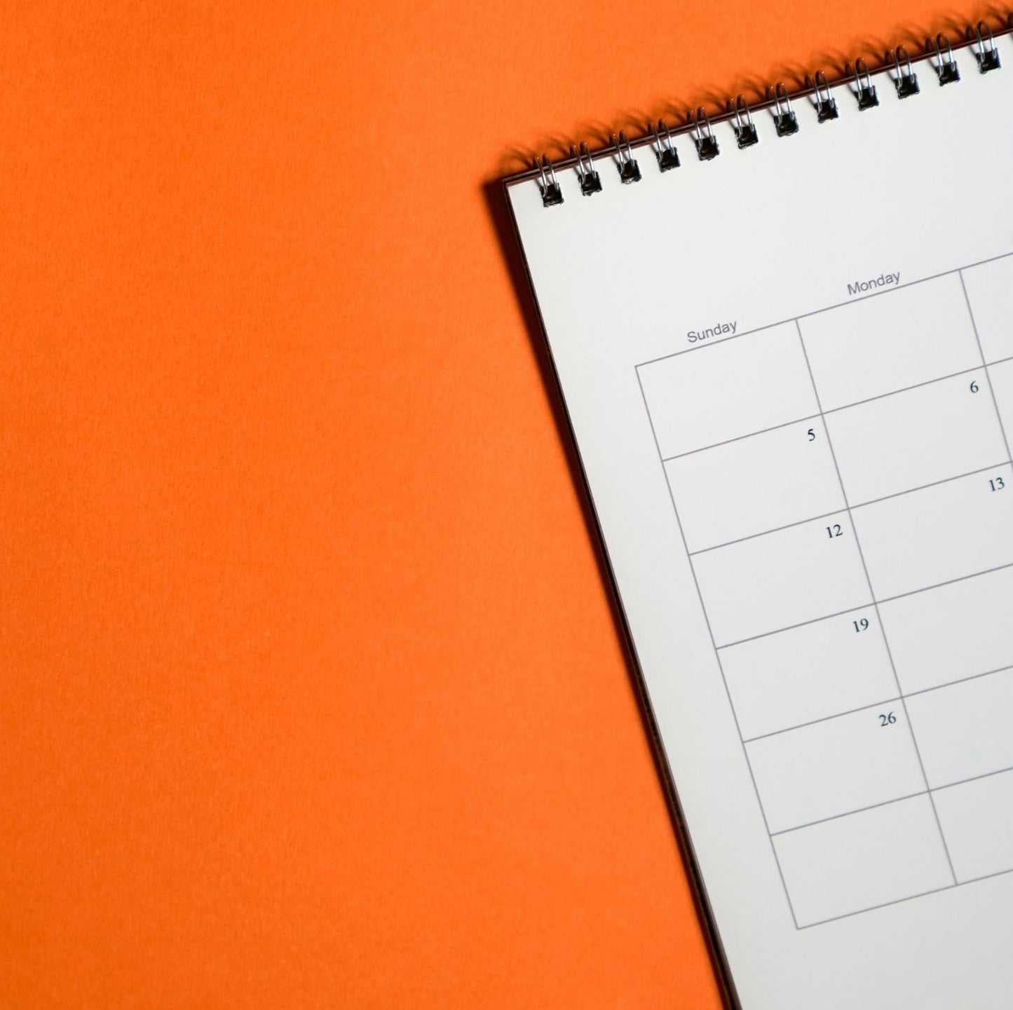 The Consistency Streak System