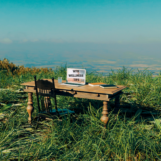 The WFH Reset: Feel Better, Focus More, Burn Out Less